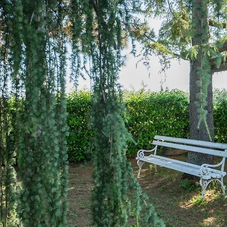 Alberi *